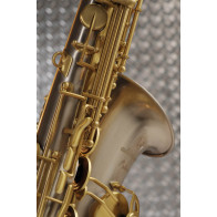 Saxophone alto ADVENCES Série Maillechort Brossé