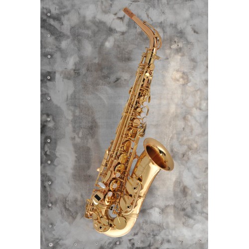 Saxophone alto ADVENCES Série RJ 1