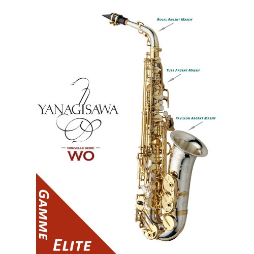 Saxophone alto YANAGISAWA WO35 1