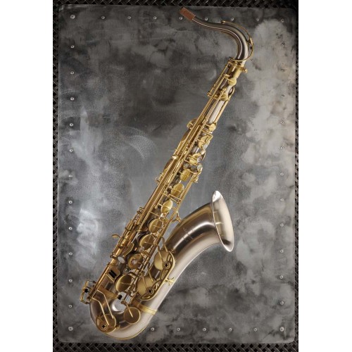 saxophone ténor ADVENCES Série Maillechort Brossé