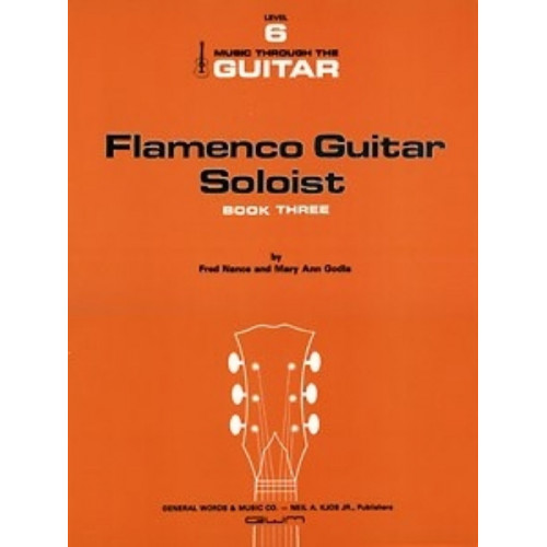 Flamenco Guitar Soloist 3