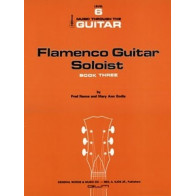 Flamenco Guitar Soloist 3