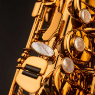 Saxophone Alto Selmer Signature