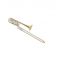 Trombone complet Vincent BACH 36B