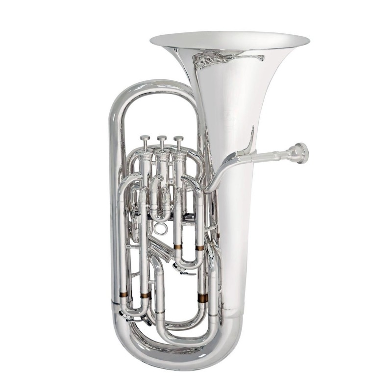 Sib 3+1 BESSON New Standard BE165