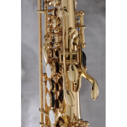 Saxophone soprano courbe ADVENCES Série J