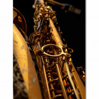 Saxophone alto SELMER SUPREME