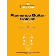 9780849763137KJSGE32 Flamenco Guitar Soloist 2