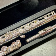 Occasion - Flûte Traversière Sonaré PS 705 - Powell