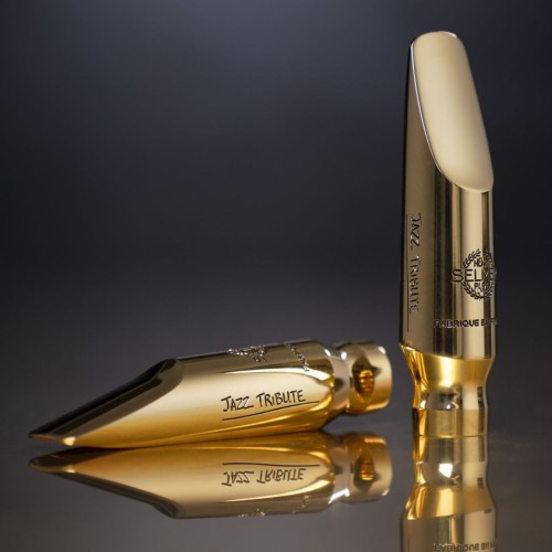Bec Saxophone Ténor Jazz Tribute - Selmer