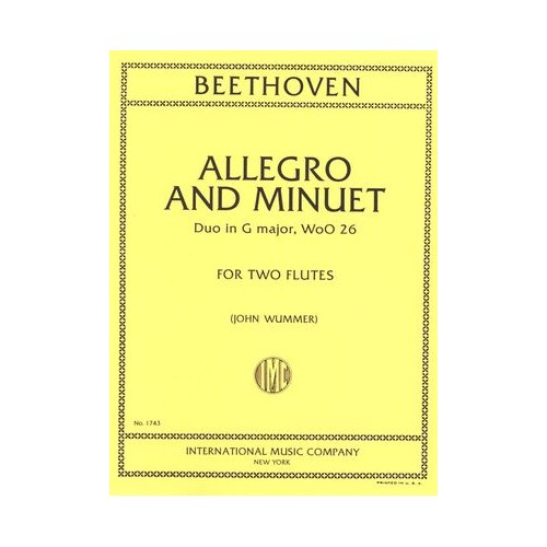 Allegro & Menuett ( Wummer )