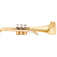 Cornet Sib Basic 300 - MTP