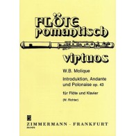Introduktion, Andante und Polonaise op. 43 