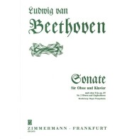Sonate nach dem Trio op. 87 
