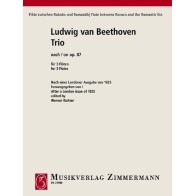 Trio Op 87 
