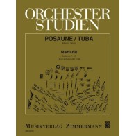 Orchesterstudien 