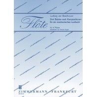 Drei Stücke nach Kompositionen 