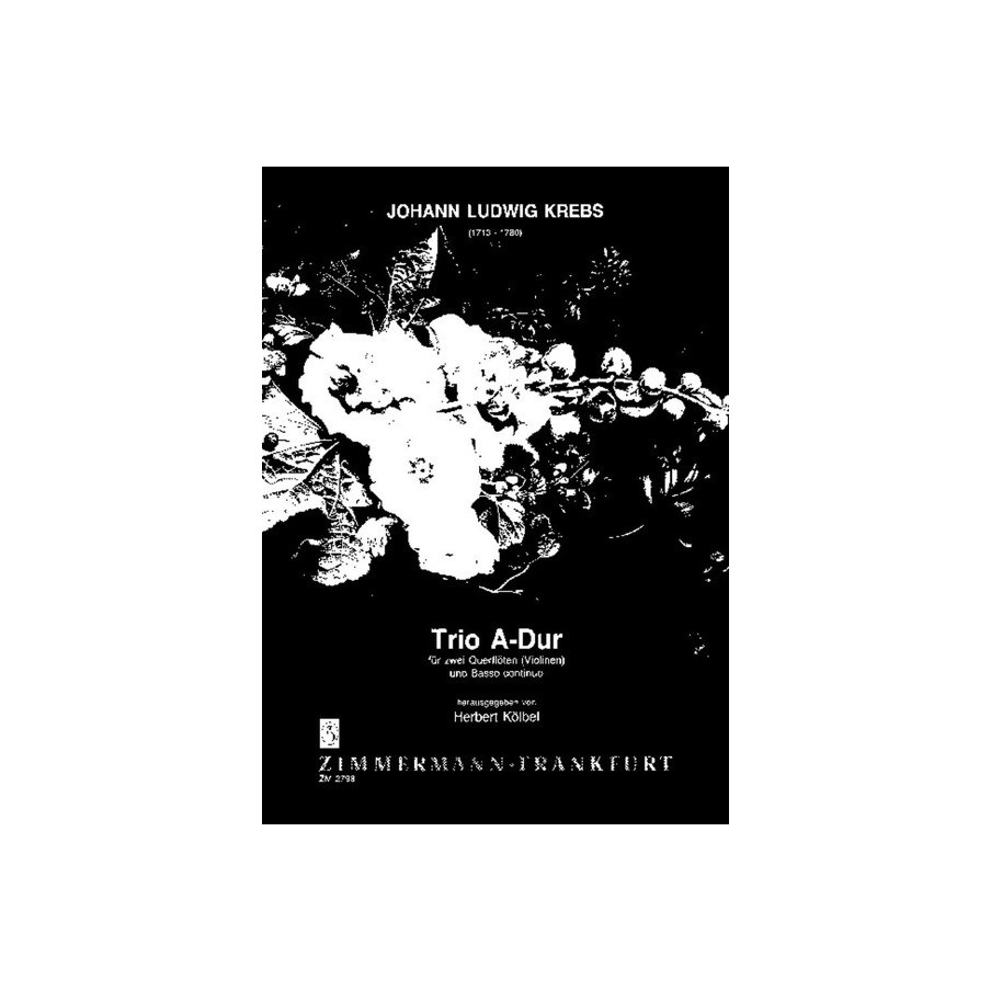 Trio A-Dur 