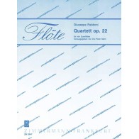 Quartett op. 22 