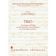 Trio per due Mandolini e Basso Continuo 