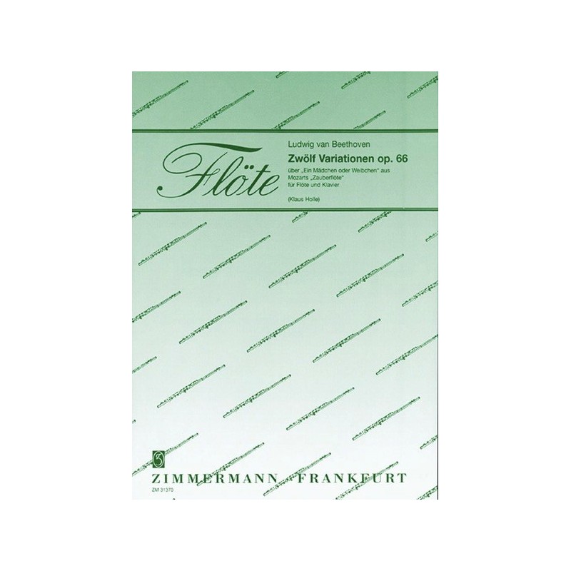 Zwölf Variationen op. 66 