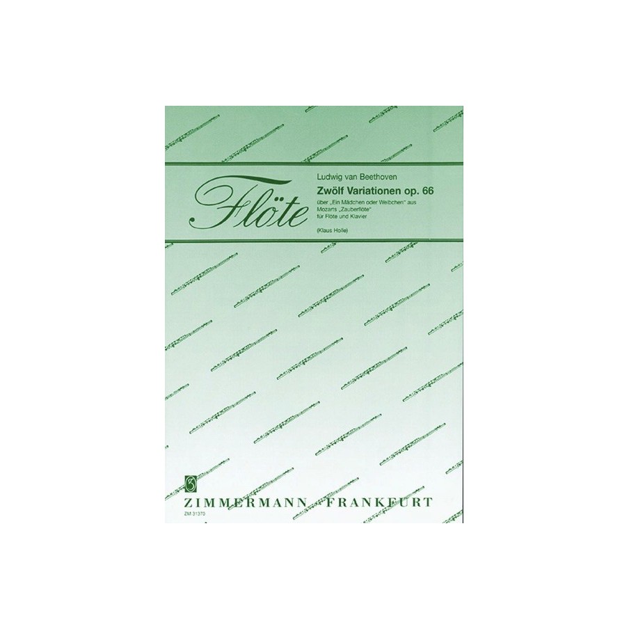 Zwölf Variationen op. 66 