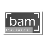 BAM Cases